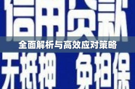 港闸全面解析与高效应对策略