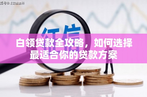 港闸白领贷款全攻略，如何选择最适合你的贷款方案