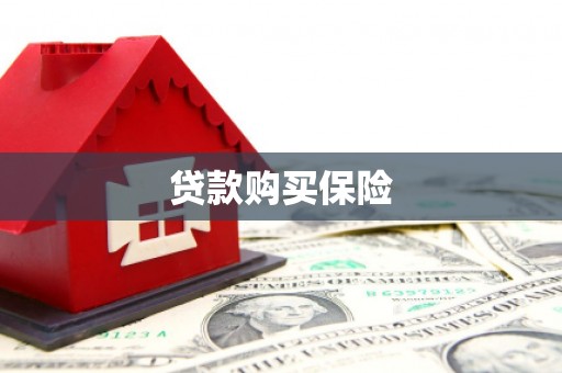 港闸贷款购买保险