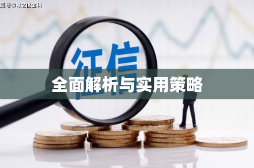 港闸全面解析与实用策略